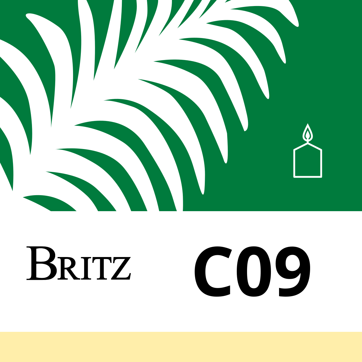 C09 RSPO - 1kg