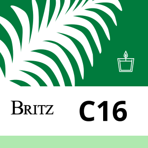 C16 RSPO - 25kg